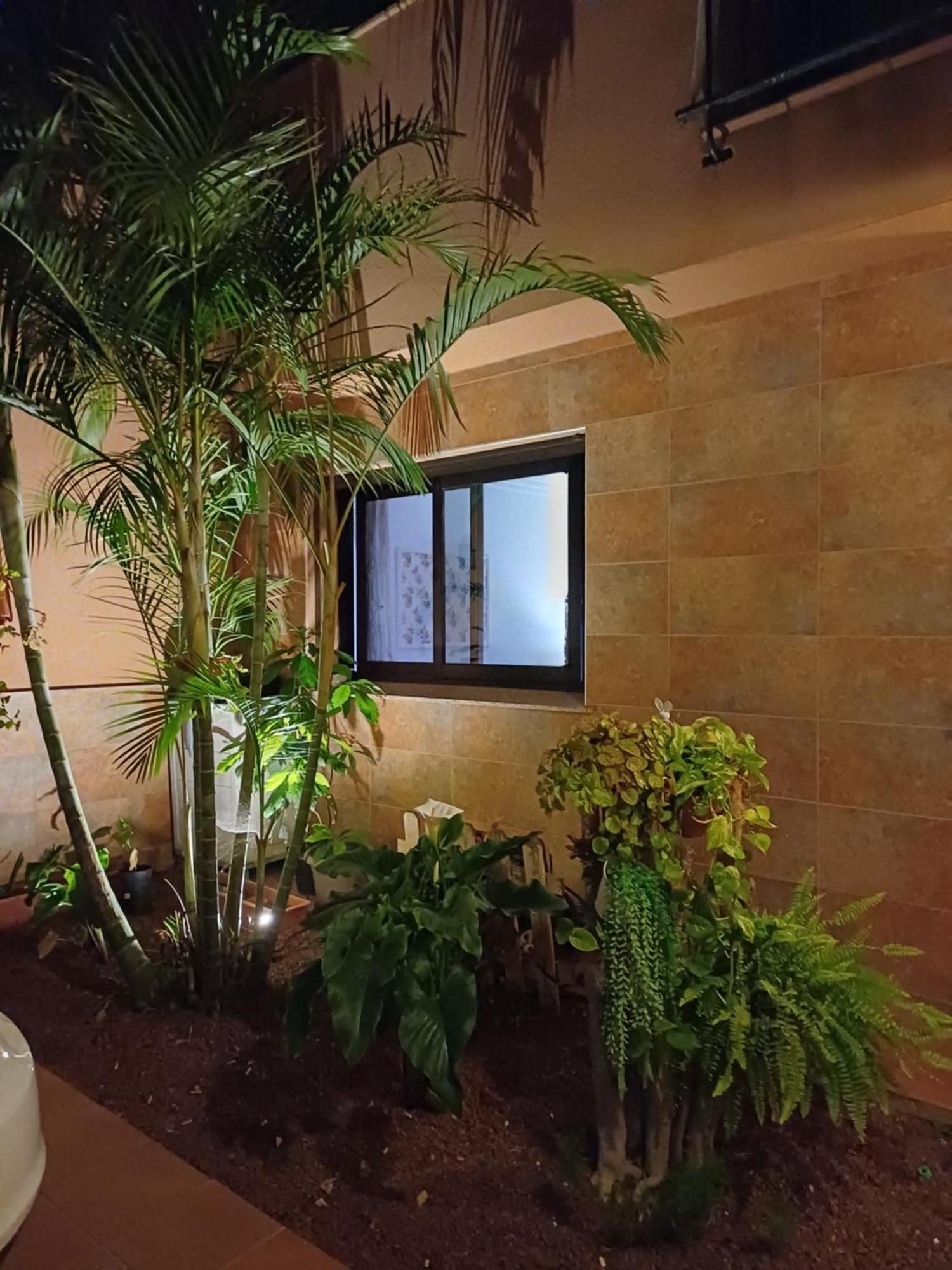 Viajeros Apartment La Laguna  Luaran gambar